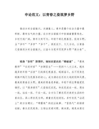 申论范文：以青春之姿筑梦乡野.docx