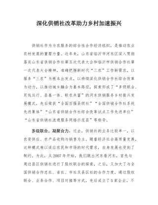 深化供销社改革助力乡村加速振兴.docx
