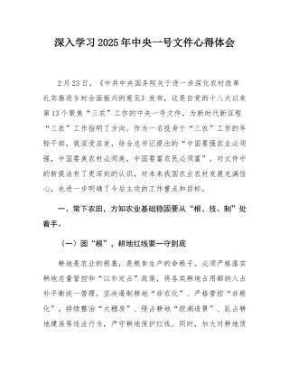 深入学习2025年中央一号文件心得体会.docx
