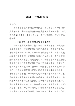 审计工作年度报告.docx