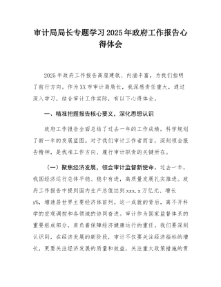 审计局局长专题学习2025年政府工作报告心得体会.docx