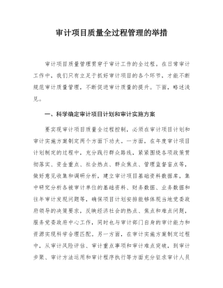 审计项目质量全过程管理的举措.docx