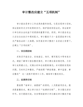 审计整改应建立“五项机制”.docx