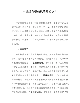 审计组有哪些风险防控点？.docx
