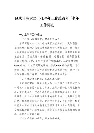 区统计局2025年上半年工作总结和下半年工作要点.docx