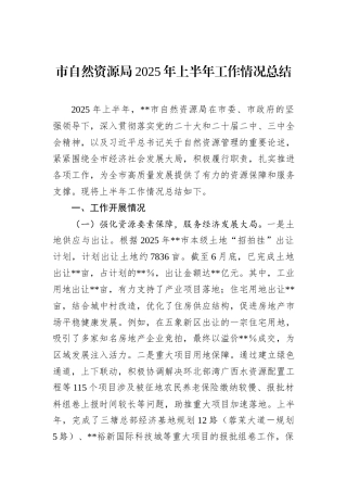 市自然资源局2025年上半年工作情况总结.docx