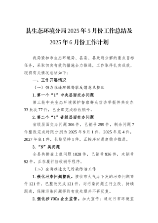 县生态环境分局2025年5月份工作总结及2025年6月份工作计划.docx