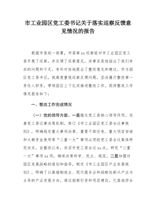 市工业园区党工委书记关于落实巡察反馈意见情况的报告.docx