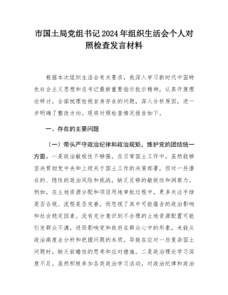 市国土局党组书记2024年组织SH会个人对照检查发言材料.docx