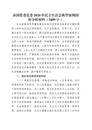 市国资委党委2024年民主生活会典型案例剖析分析材料（3489字）.docx