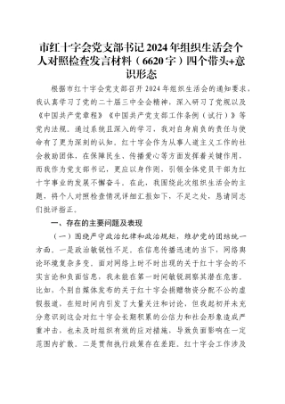 市红十字会党支部书记2024年组织生活会个人对照检查发言材料（6620字）四个带头 意识形态.docx