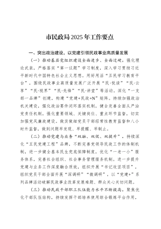 市民政局2025年工作要点.docx