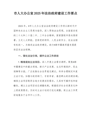 市人大办公室2025年法治政府建设工作要点.docx