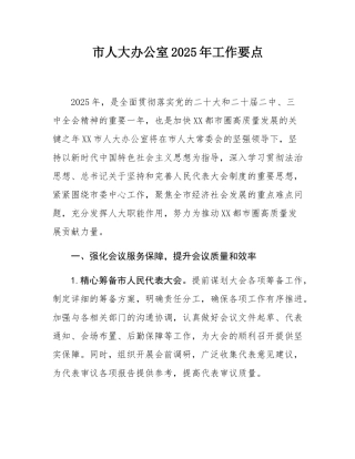 市人大办公室2025年工作要点.docx