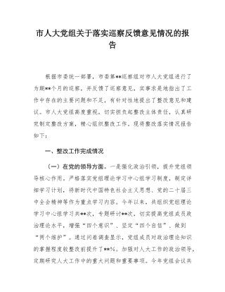 市人大党组关于落实巡察反馈意见情况的报告.docx