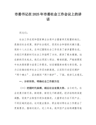 市委书记在2025年市委社会工作会议上的讲话.docx