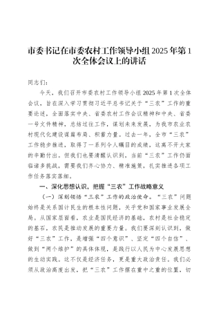 市委书记在市委农村工作领导小组2025年第1次全体会议上的讲话.docx