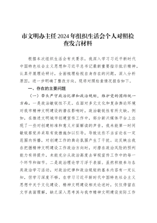 市文明办主任2024年组织生活会个人对照检查发言材料.docx