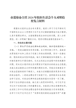 市巡察办主任2024年组织生活会个人对照检查发言材料.docx