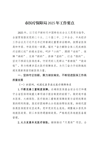 市医疗保障局2025年工作要点.docx