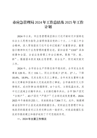 市应急管理局2024年工作总结及2025年工作计划.docx