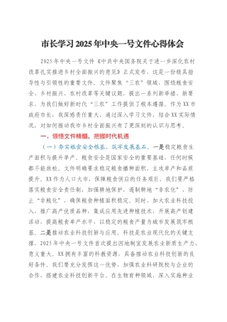 市长学习2025年中央一号文件心得体会.docx