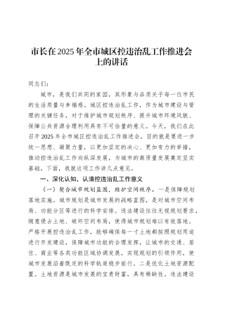 市长在2025年全市城区控违治乱工作推进会上的讲话.docx