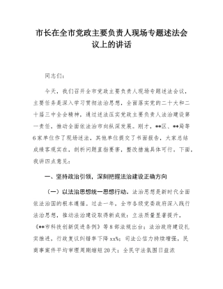 市长在全市党政主要负责人现场专题述法会议上的讲话.docx