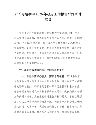 市长专题学习2025年政府工作报告严打研讨发言.docx