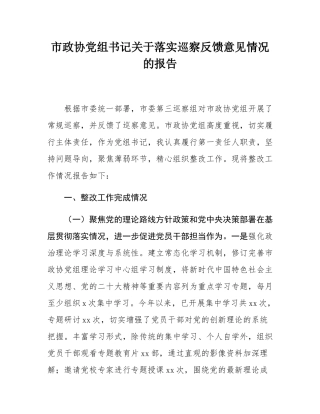 市政协党组书记关于落实巡察反馈意见情况的报告.docx