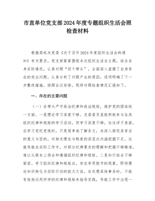 市直单位党支部2024年度专题组织SH会照检查材料.docx