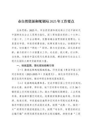 市自然资源和规划局2025年工作要点.docx