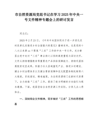 市自然资源局党组书记在学习2025年中央一号文件精神专题会上的研讨发言.docx