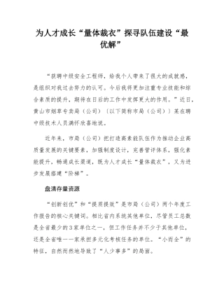 为人才成长“量体裁衣”探寻队伍建设“最优解”.docx