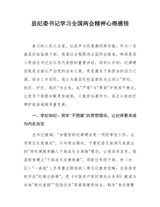 县纪委书记学习全国两会精神心得感悟.docx