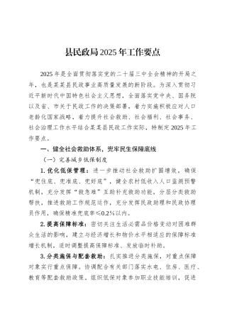 县民政局2025年工作要点.docx
