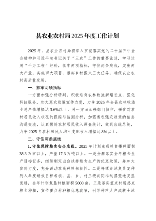 县农业农村局2025年度工作计划.docx