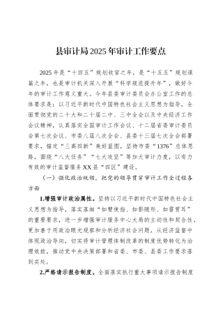 县审计局2025年审计工作要点.docx