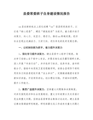 县委常委班子自身建设情况报告.docx