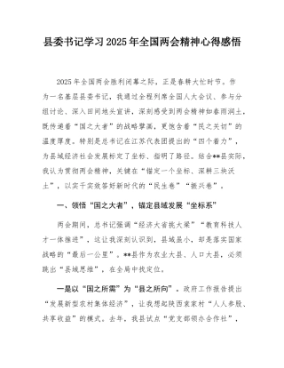 县委书记学习2025年全国两会精神心得感悟.docx
