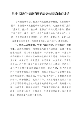 县委书记在与新任职干部集体谈话时的讲话.docx