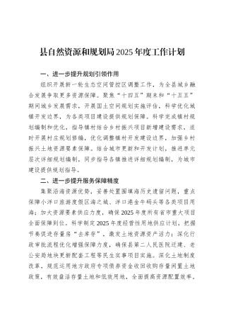 县自然资源和规划局2025年度工作计划.docx
