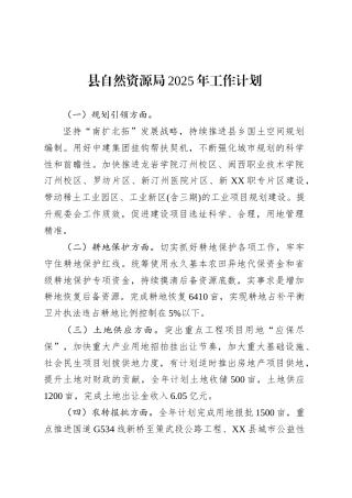 县自然资源局2025年工作计划.docx