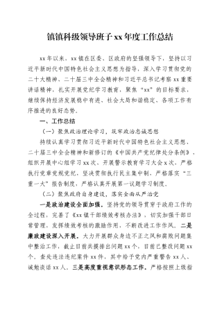 乡镇街道科级领导班子年度工作总结.doc