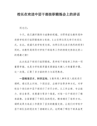 校长在欢送中层干部挂职锻炼会上的讲话.docx