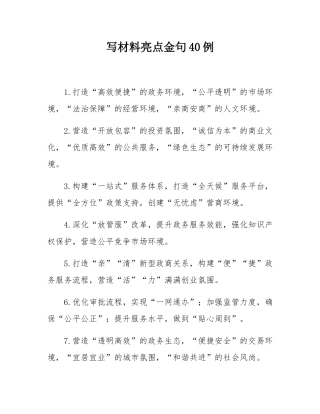 写材料亮点金句40例.docx