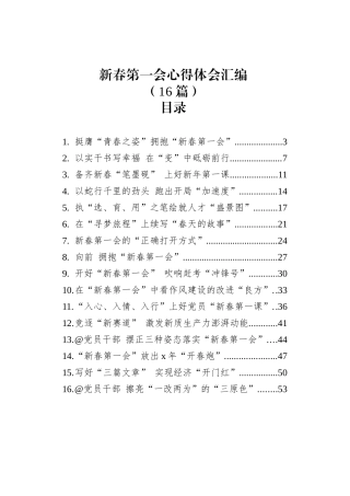 新春第一会心得体会汇编（16篇）.docx