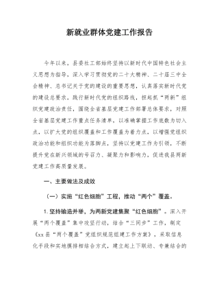新就业群体党建工作报告.docx