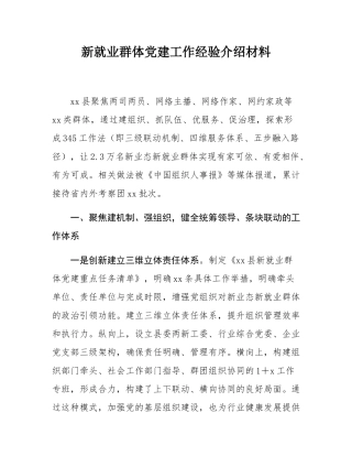 新就业群体党建工作经验介绍材料.docx