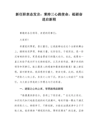 新任职表态发言：秉持三心践使命，砥砺奋进启新程.docx